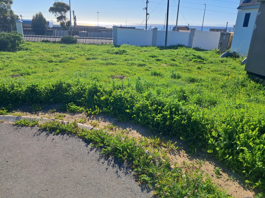 0 Bedroom Property for Sale in Steenbergs Cove Western Cape